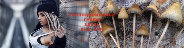 марки nbome Нефтекумск