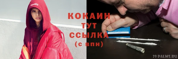 соль ск Нея