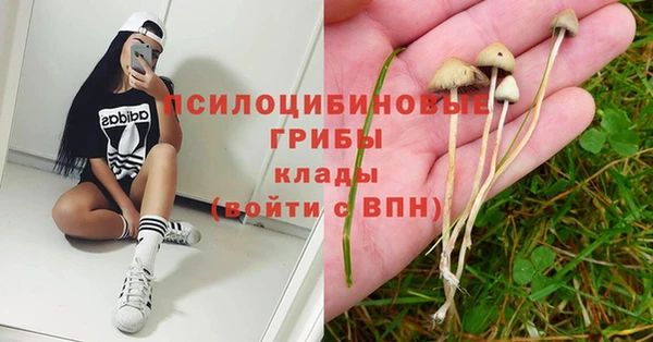 соль ск Нея