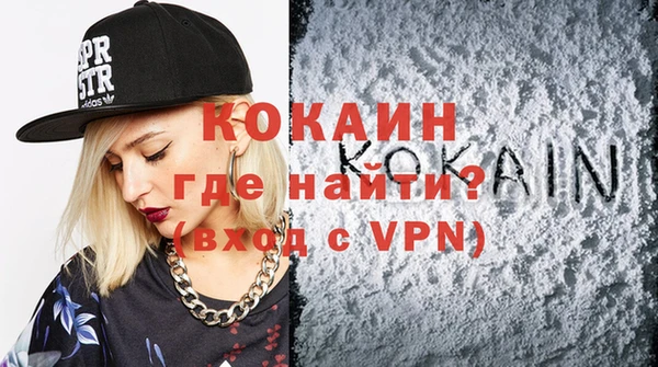 стаф Новозыбков